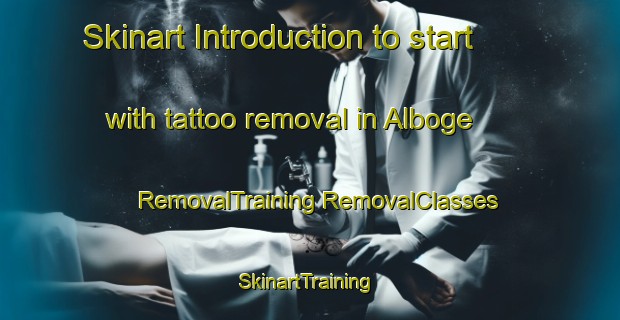 Skinart Introduction to start with tattoo removal in Alboge | #RemovalTraining #RemovalClasses #SkinartTraining-Denmark