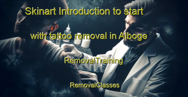 Skinart Introduction to start with tattoo removal in Alboge | RemovalTraining | RemovalClasses | SkinartTraining-Denmark