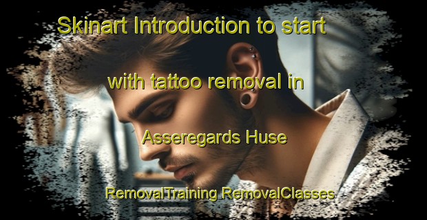 Skinart Introduction to start with tattoo removal in Asseregards Huse | #RemovalTraining #RemovalClasses #SkinartTraining-Denmark