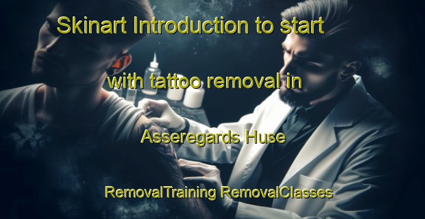 Skinart Introduction to start with tattoo removal in Asseregards Huse | #RemovalTraining #RemovalClasses #SkinartTraining-Denmark