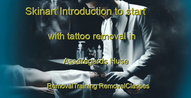 Skinart Introduction to start with tattoo removal in Asseregards Huse | #RemovalTraining #RemovalClasses #SkinartTraining-Denmark