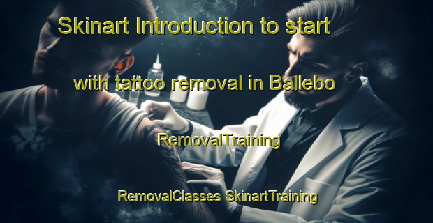 Skinart Introduction to start with tattoo removal in Ballebo | #RemovalTraining #RemovalClasses #SkinartTraining-Denmark