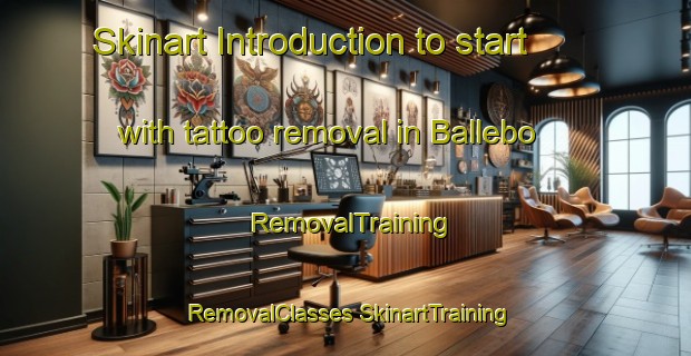 Skinart Introduction to start with tattoo removal in Ballebo | #RemovalTraining #RemovalClasses #SkinartTraining-Denmark