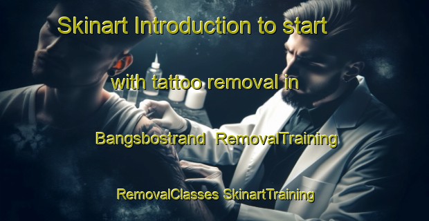 Skinart Introduction to start with tattoo removal in Bangsbostrand | #RemovalTraining #RemovalClasses #SkinartTraining-Denmark