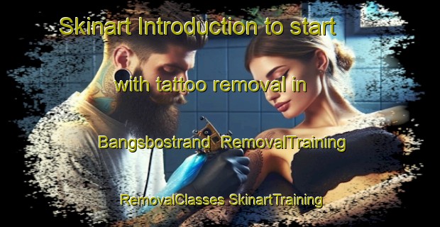 Skinart Introduction to start with tattoo removal in Bangsbostrand | #RemovalTraining #RemovalClasses #SkinartTraining-Denmark