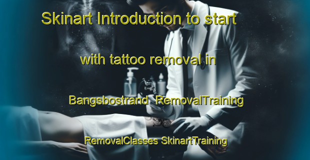 Skinart Introduction to start with tattoo removal in Bangsbostrand | #RemovalTraining #RemovalClasses #SkinartTraining-Denmark