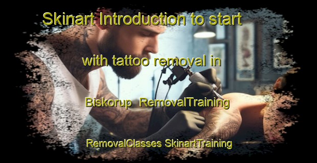 Skinart Introduction to start with tattoo removal in Biskorup | #RemovalTraining #RemovalClasses #SkinartTraining-Denmark