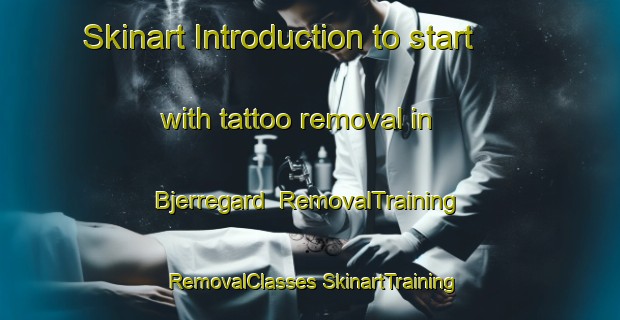 Skinart Introduction to start with tattoo removal in Bjerregard | #RemovalTraining #RemovalClasses #SkinartTraining-Denmark