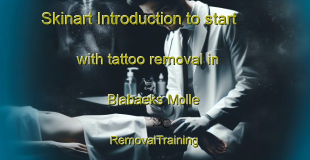 Skinart Introduction to start with tattoo removal in Blabaeks Molle | RemovalTraining | RemovalClasses | SkinartTraining-Denmark