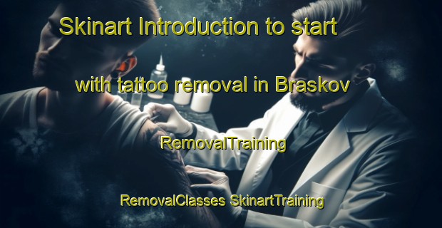 Skinart Introduction to start with tattoo removal in Braskov | #RemovalTraining #RemovalClasses #SkinartTraining-Denmark