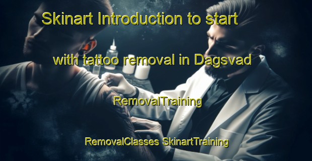 Skinart Introduction to start with tattoo removal in Dagsvad | #RemovalTraining #RemovalClasses #SkinartTraining-Denmark