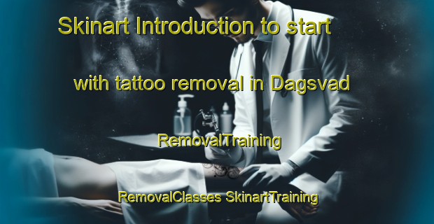 Skinart Introduction to start with tattoo removal in Dagsvad | #RemovalTraining #RemovalClasses #SkinartTraining-Denmark