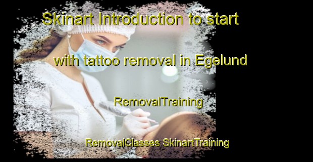 Skinart Introduction to start with tattoo removal in Egelund | #RemovalTraining #RemovalClasses #SkinartTraining-Denmark