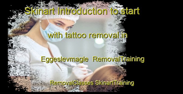 Skinart Introduction to start with tattoo removal in Eggeslevmagle | #RemovalTraining #RemovalClasses #SkinartTraining-Denmark