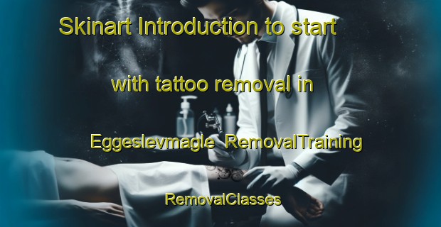 Skinart Introduction to start with tattoo removal in Eggeslevmagle | RemovalTraining | RemovalClasses | SkinartTraining-Denmark
