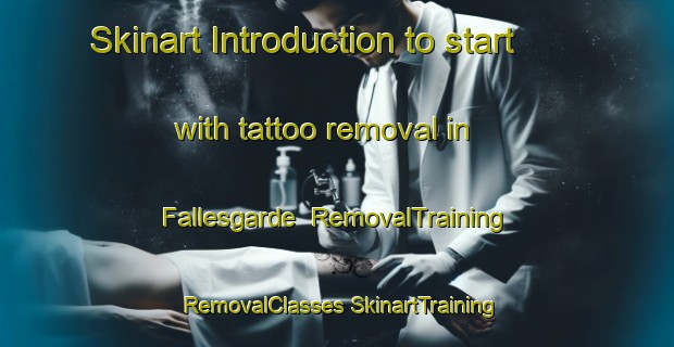 Skinart Introduction to start with tattoo removal in Fallesgarde | #RemovalTraining #RemovalClasses #SkinartTraining-Denmark