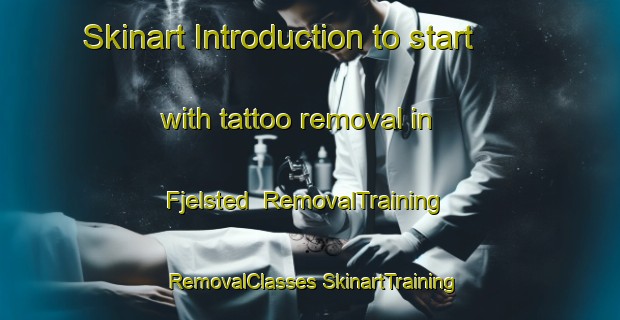 Skinart Introduction to start with tattoo removal in Fjelsted | #RemovalTraining #RemovalClasses #SkinartTraining-Denmark