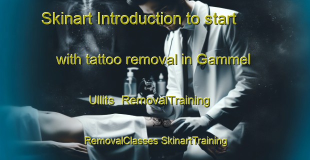 Skinart Introduction to start with tattoo removal in Gammel Ullits | #RemovalTraining #RemovalClasses #SkinartTraining-Denmark