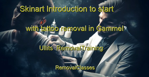 Skinart Introduction to start with tattoo removal in Gammel Ullits | RemovalTraining | RemovalClasses | SkinartTraining-Denmark