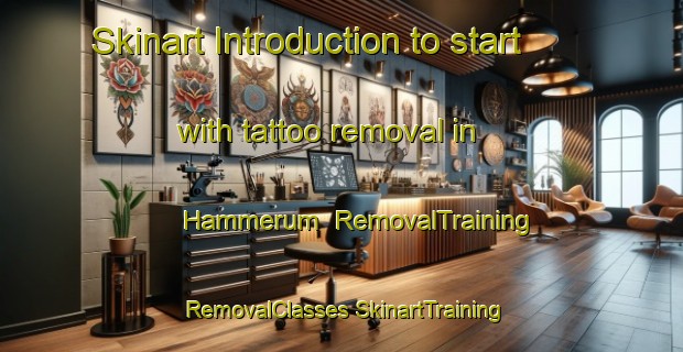 Skinart Introduction to start with tattoo removal in Hammerum | #RemovalTraining #RemovalClasses #SkinartTraining-Denmark