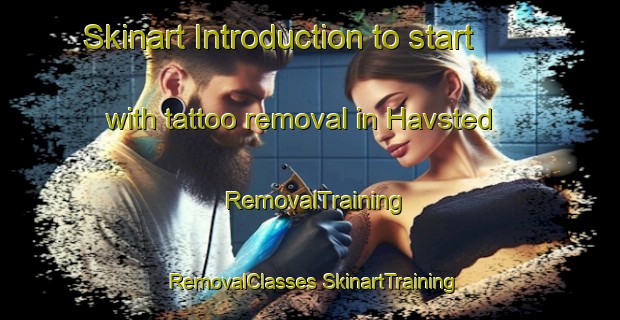 Skinart Introduction to start with tattoo removal in Havsted | #RemovalTraining #RemovalClasses #SkinartTraining-Denmark