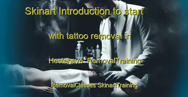 Skinart Introduction to start with tattoo removal in Hestehave | #RemovalTraining #RemovalClasses #SkinartTraining-Denmark