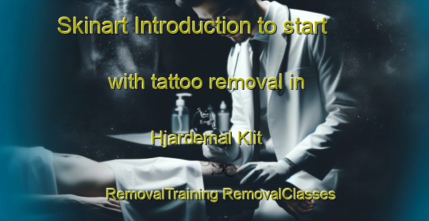 Skinart Introduction to start with tattoo removal in Hjardemal Klit | #RemovalTraining #RemovalClasses #SkinartTraining-Denmark