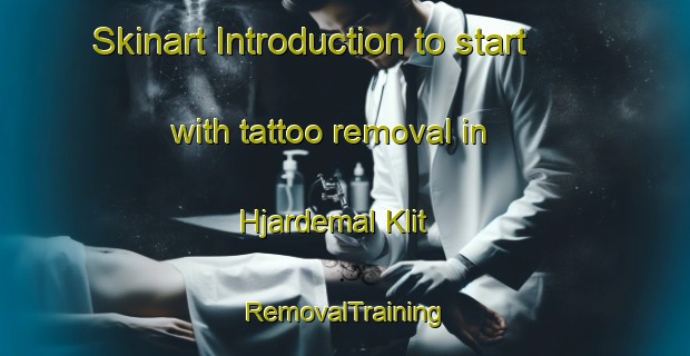 Skinart Introduction to start with tattoo removal in Hjardemal Klit | RemovalTraining | RemovalClasses | SkinartTraining-Denmark