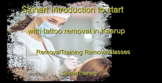 Skinart Introduction to start with tattoo removal in Kaerup | #RemovalTraining #RemovalClasses #SkinartTraining-Denmark