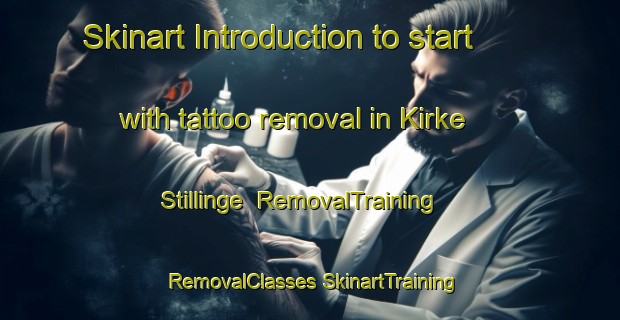 Skinart Introduction to start with tattoo removal in Kirke Stillinge | #RemovalTraining #RemovalClasses #SkinartTraining-Denmark