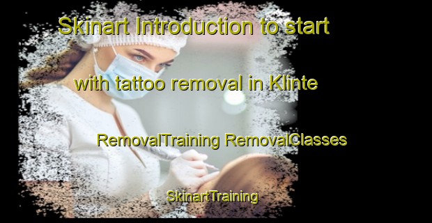 Skinart Introduction to start with tattoo removal in Klinte | #RemovalTraining #RemovalClasses #SkinartTraining-Denmark