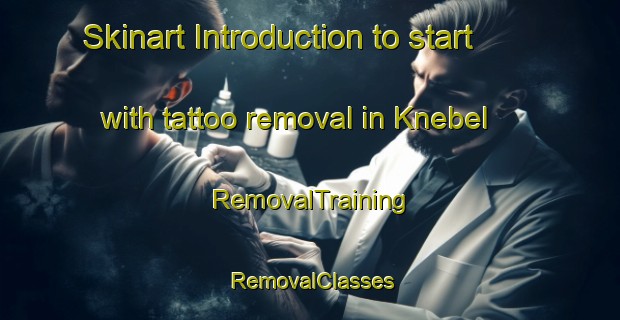 Skinart Introduction to start with tattoo removal in Knebel | RemovalTraining | RemovalClasses | SkinartTraining-Denmark