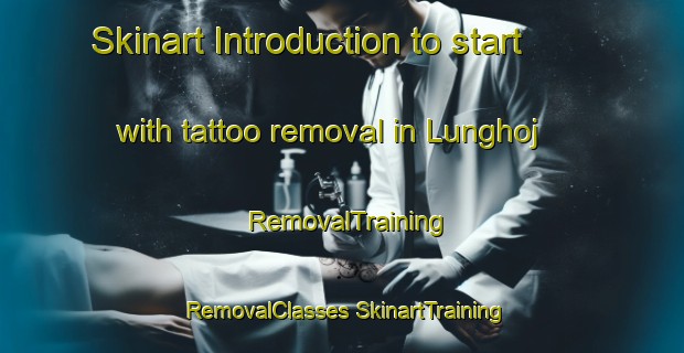 Skinart Introduction to start with tattoo removal in Lunghoj | #RemovalTraining #RemovalClasses #SkinartTraining-Denmark