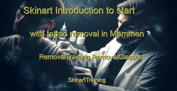 Skinart Introduction to start with tattoo removal in Mammen | #RemovalTraining #RemovalClasses #SkinartTraining-Denmark