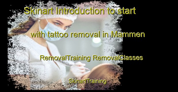 Skinart Introduction to start with tattoo removal in Mammen | #RemovalTraining #RemovalClasses #SkinartTraining-Denmark