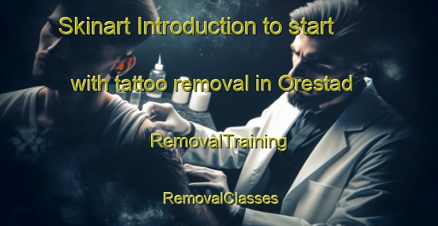 Skinart Introduction to start with tattoo removal in Orestad | RemovalTraining | RemovalClasses | SkinartTraining-Denmark