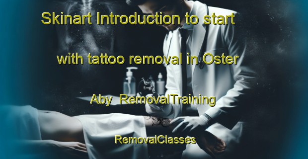 Skinart Introduction to start with tattoo removal in Oster Aby | RemovalTraining | RemovalClasses | SkinartTraining-Denmark