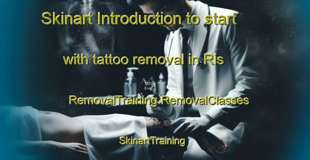 Skinart Introduction to start with tattoo removal in Ris | #RemovalTraining #RemovalClasses #SkinartTraining-Denmark