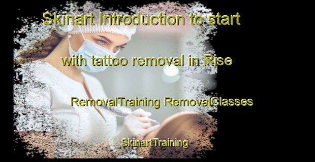 Skinart Introduction to start with tattoo removal in Rise | #RemovalTraining #RemovalClasses #SkinartTraining-Denmark