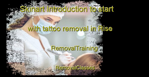 Skinart Introduction to start with tattoo removal in Rise | RemovalTraining | RemovalClasses | SkinartTraining-Denmark