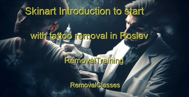 Skinart Introduction to start with tattoo removal in Roslev | RemovalTraining | RemovalClasses | SkinartTraining-Denmark