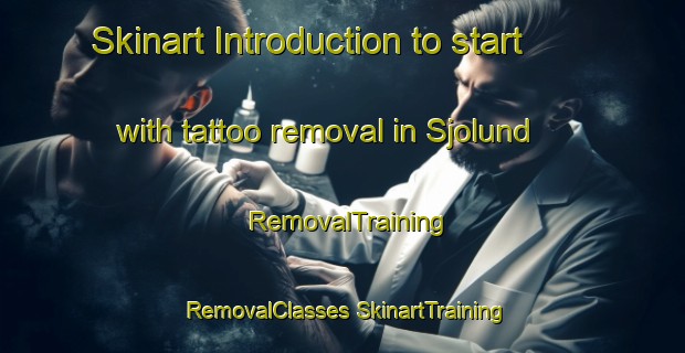 Skinart Introduction to start with tattoo removal in Sjolund | #RemovalTraining #RemovalClasses #SkinartTraining-Denmark