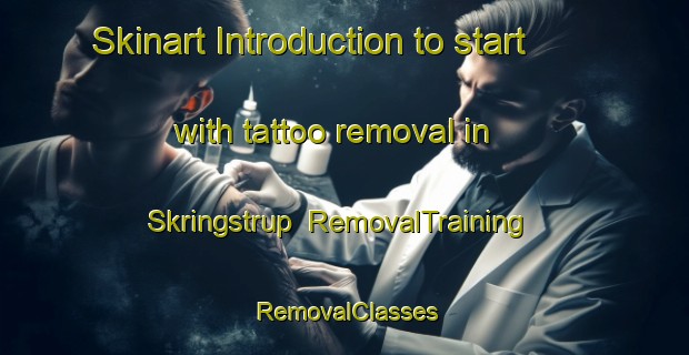 Skinart Introduction to start with tattoo removal in Skringstrup | RemovalTraining | RemovalClasses | SkinartTraining-Denmark