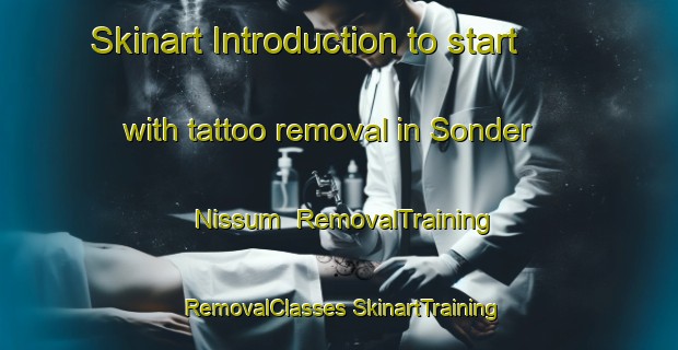 Skinart Introduction to start with tattoo removal in Sonder Nissum | #RemovalTraining #RemovalClasses #SkinartTraining-Denmark