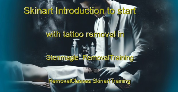 Skinart Introduction to start with tattoo removal in Stenmagle | #RemovalTraining #RemovalClasses #SkinartTraining-Denmark