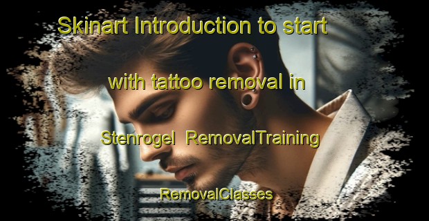 Skinart Introduction to start with tattoo removal in Stenrogel | RemovalTraining | RemovalClasses | SkinartTraining-Denmark