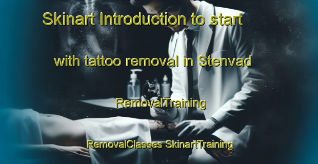 Skinart Introduction to start with tattoo removal in Stenvad | #RemovalTraining #RemovalClasses #SkinartTraining-Denmark