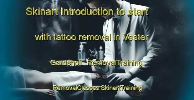 Skinart Introduction to start with tattoo removal in Vester Gardsholt | #RemovalTraining #RemovalClasses #SkinartTraining-Denmark