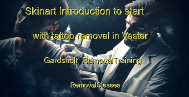 Skinart Introduction to start with tattoo removal in Vester Gardsholt | RemovalTraining | RemovalClasses | SkinartTraining-Denmark