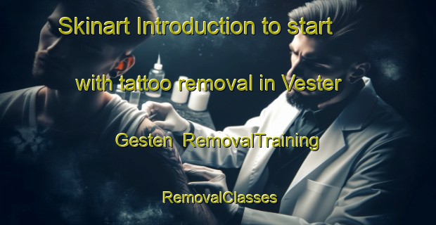 Skinart Introduction to start with tattoo removal in Vester Gesten | RemovalTraining | RemovalClasses | SkinartTraining-Denmark